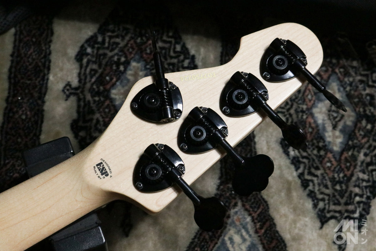 EDWARDS Platinum E-AMAZE-5-190 IKUO Signature Model