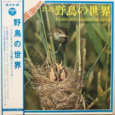 Unknown Release