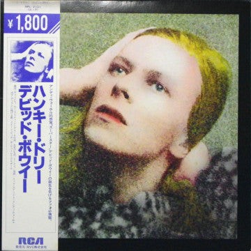 Hunky Dory