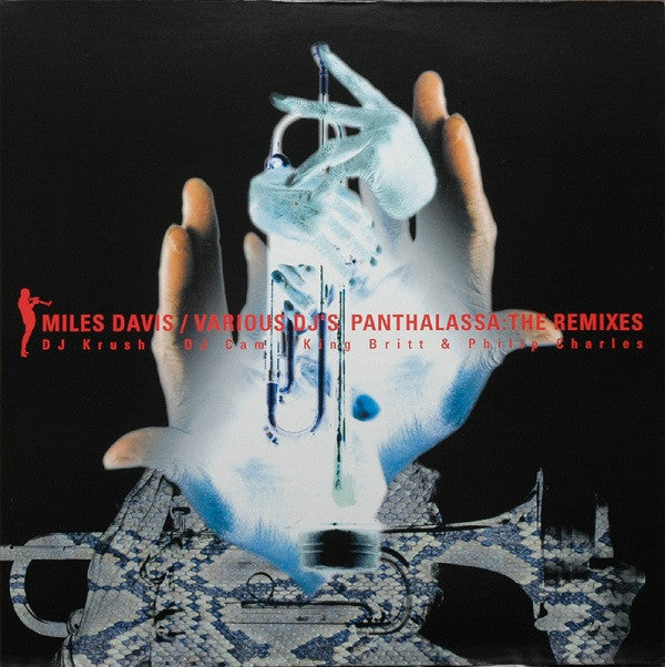 Panthalassa: The Remixes
