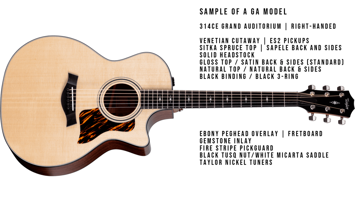 Taylor Custom Select Program - MION -