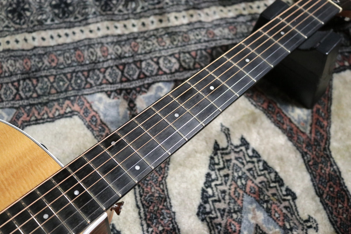 Taylor 210ce ES2 2020 [Taylor certified repair man store]