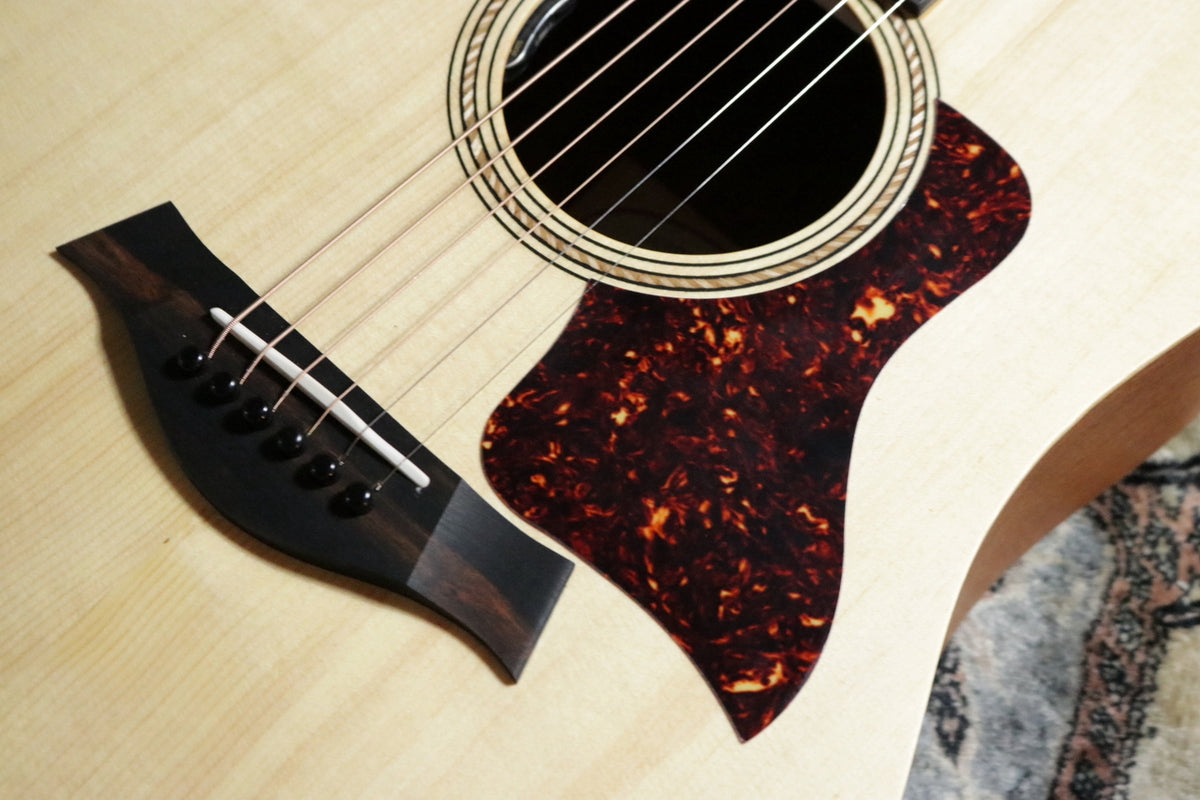 Taylor Academy 10 Special Edition by MION [Taylor authorized repair man store]