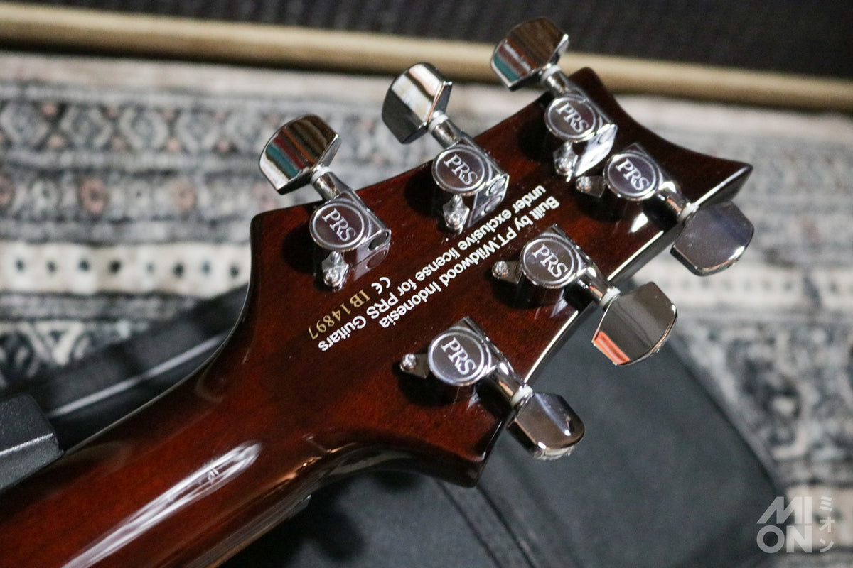 Paul Reed Smith(PRS) SE Standard 24 2015