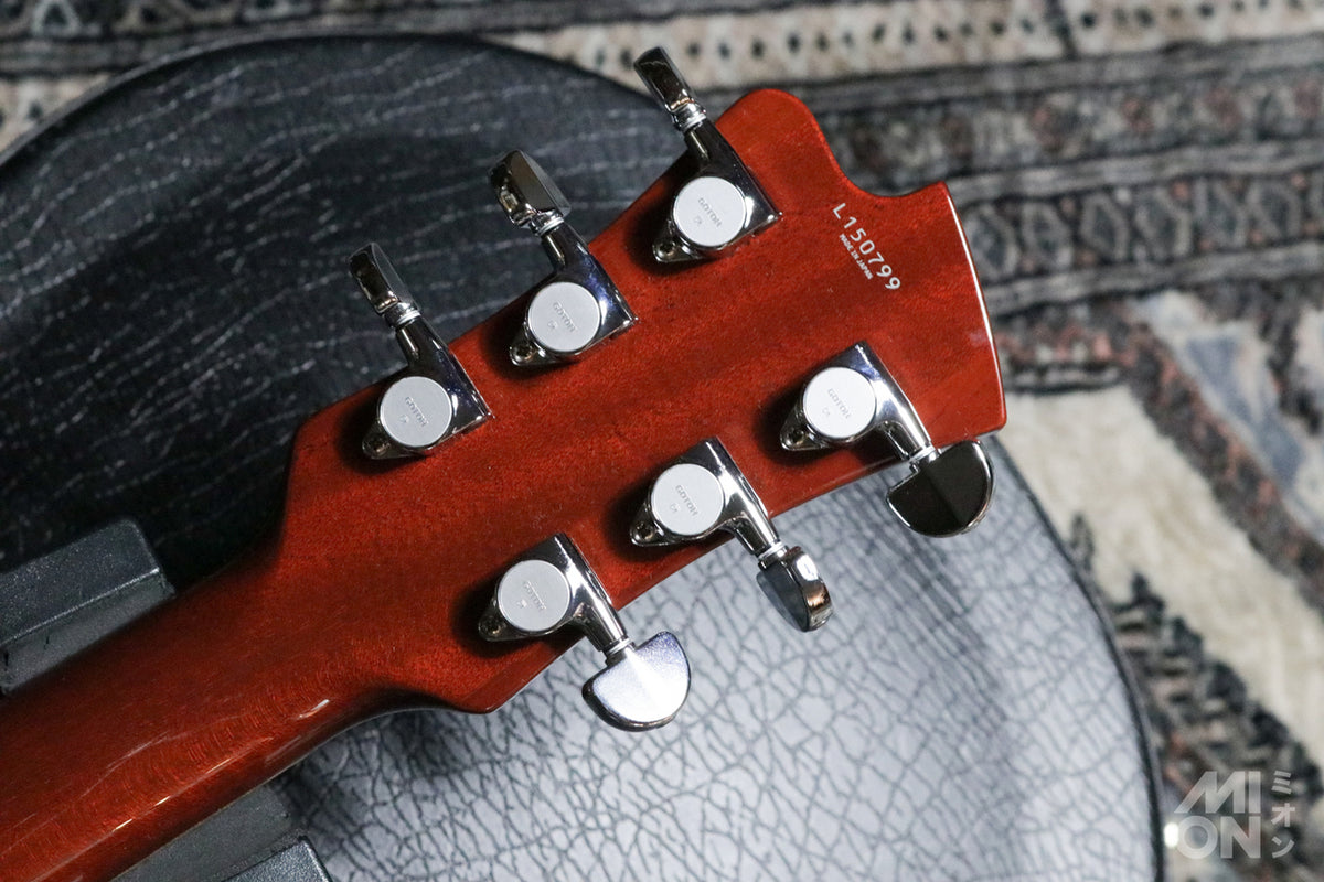 FUJIGEN(FGN) EXPERT FL (EFL/HM) Frozen Color 2015