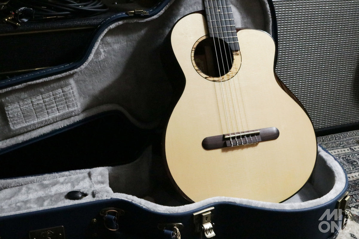 aNueNue aNN-MN214 Bird Guitar Series