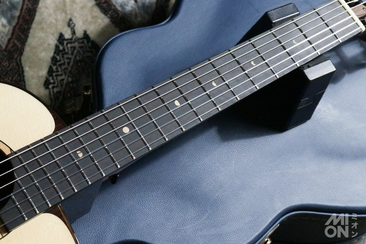 aNueNue aNN-MN214 Bird Guitar Series