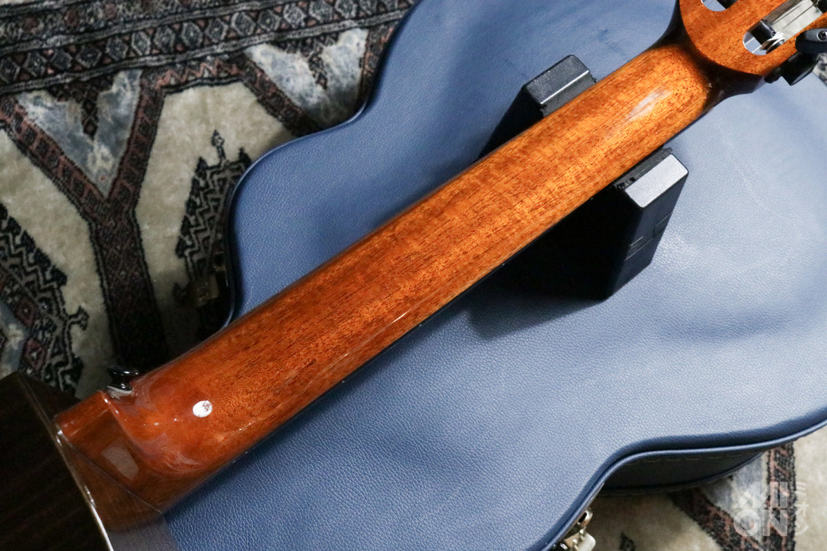 aNueNue aNN-MN214 Bird Guitar Series