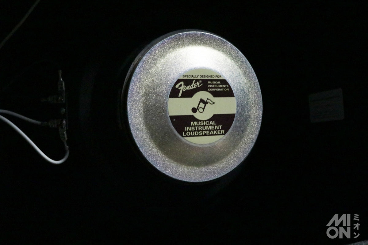 Fender Champion100