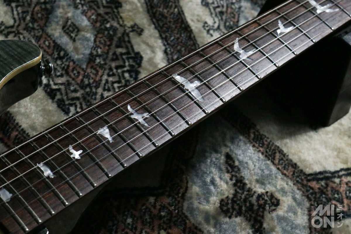 Paul Reed Smith(PRS) SE Custom24 2017 Gray Black
