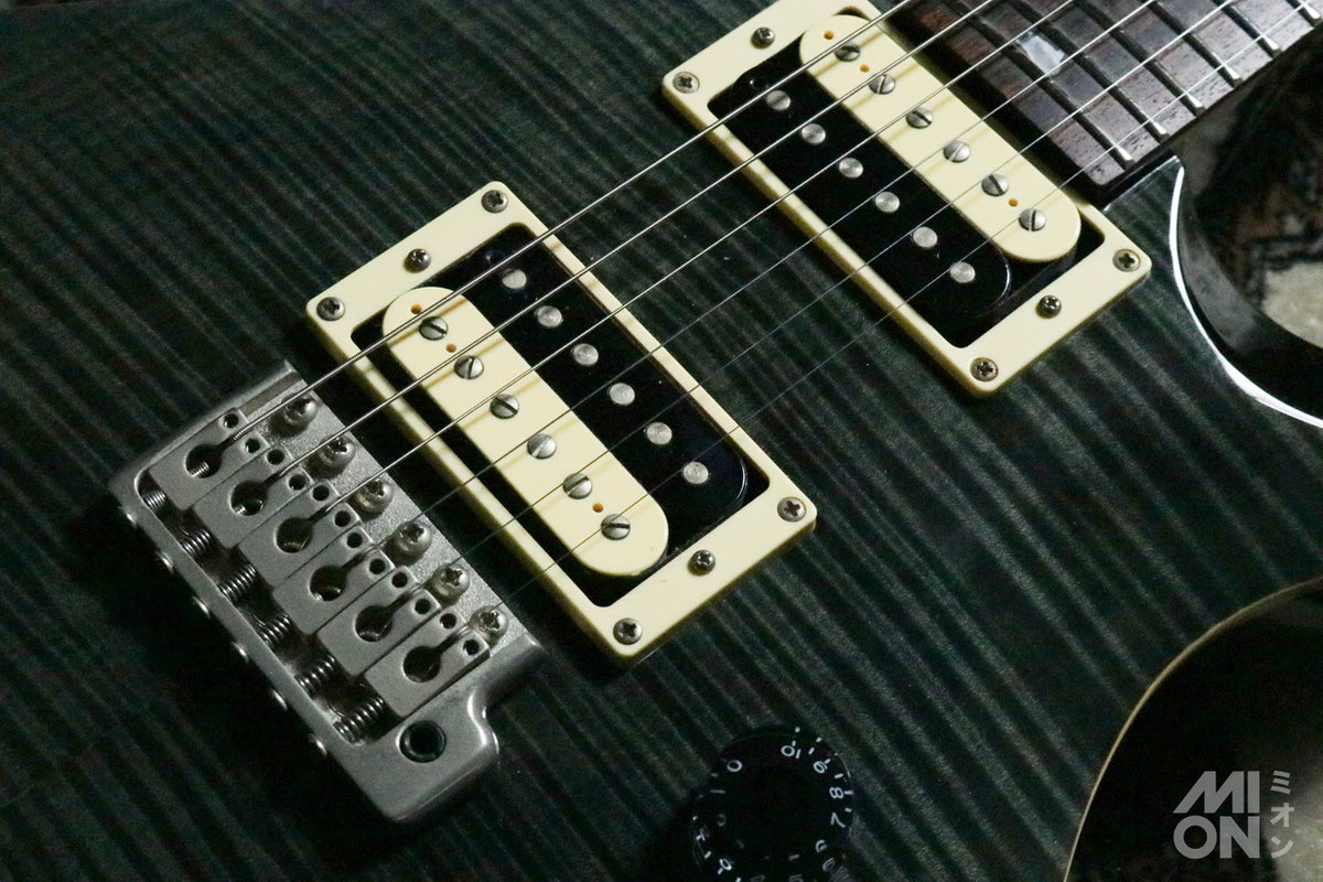Paul Reed Smith(PRS) SE Custom24 2017 Gray Black