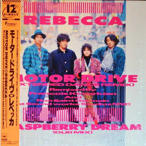 Motor Drive / Raspberry Dream