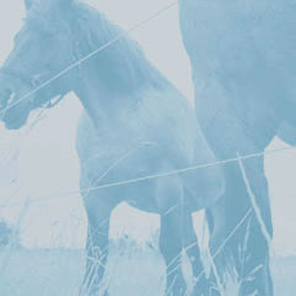 Swallow You EP
