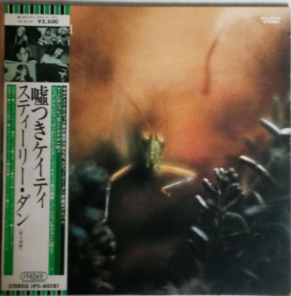 Katy Lied