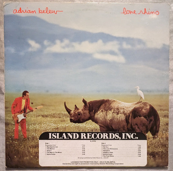 Lone Rhino