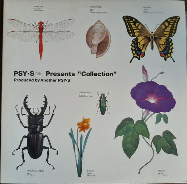 Collection