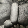 Pink Cloud (2) - Alive (Vinyl, 12
