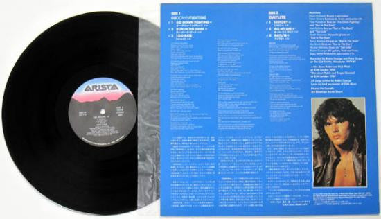 The History 12"