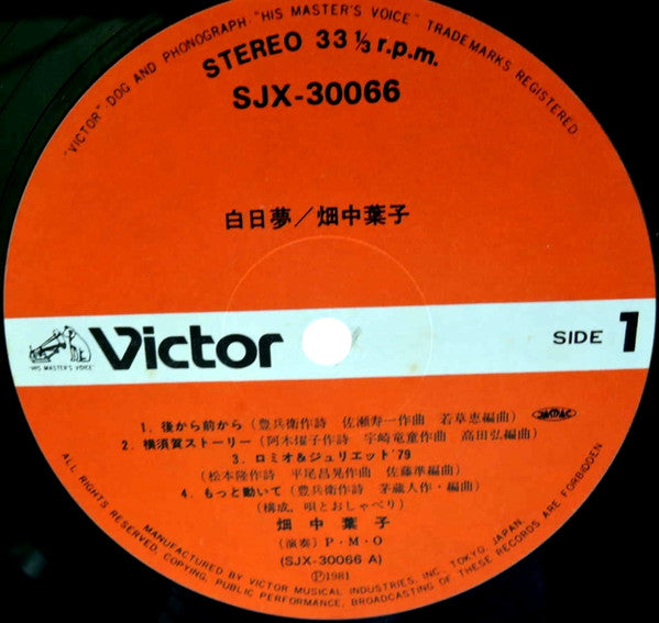 白日夢