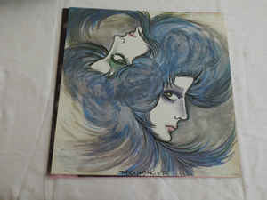 Obscured By Clouds = 雲の影