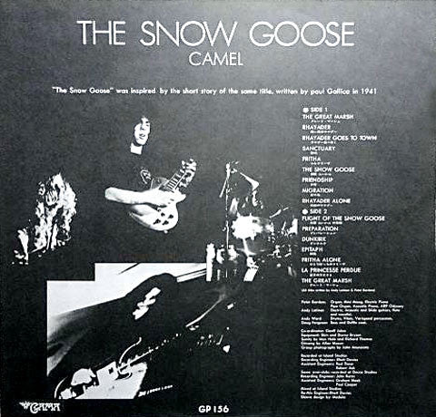 The Snow Goose